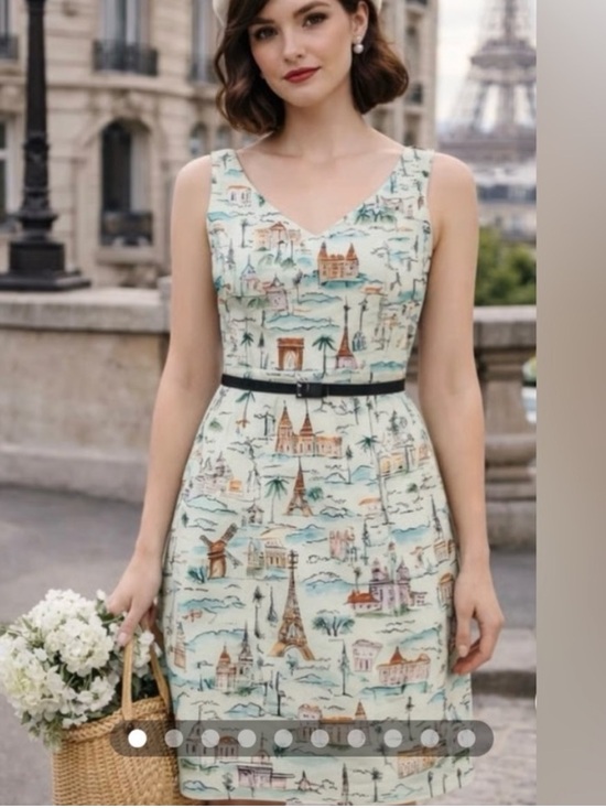David Meister Dresses & Skirts - David Meister Paris Eiffel Tower dress with belt
Sz 12 newly dry cleaned